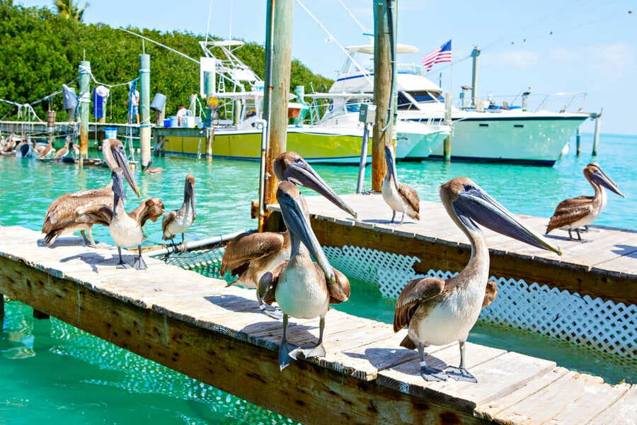 Best Sights and Attractions - Key West