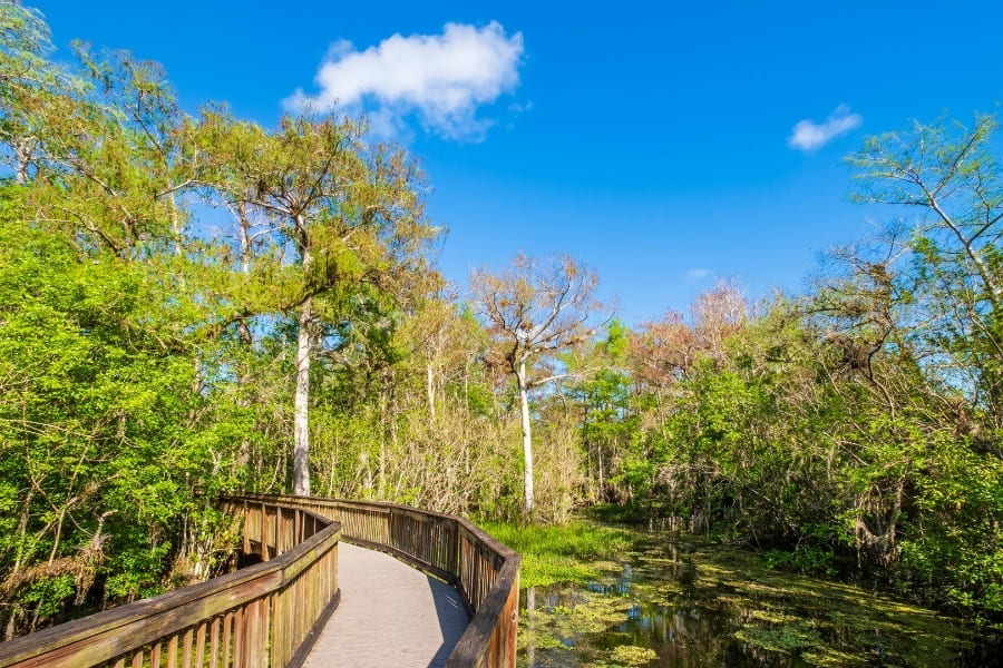 Big Cypress National Preserve - Florida