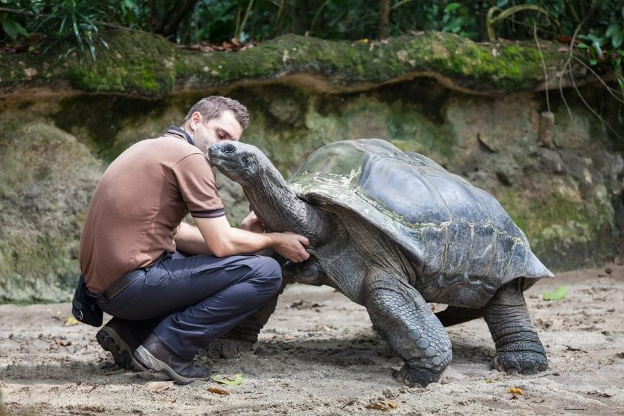 Turtles in Florida - Zoos and Aquariums